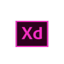 Adobe XD v57.1.12.02 m0nkrus